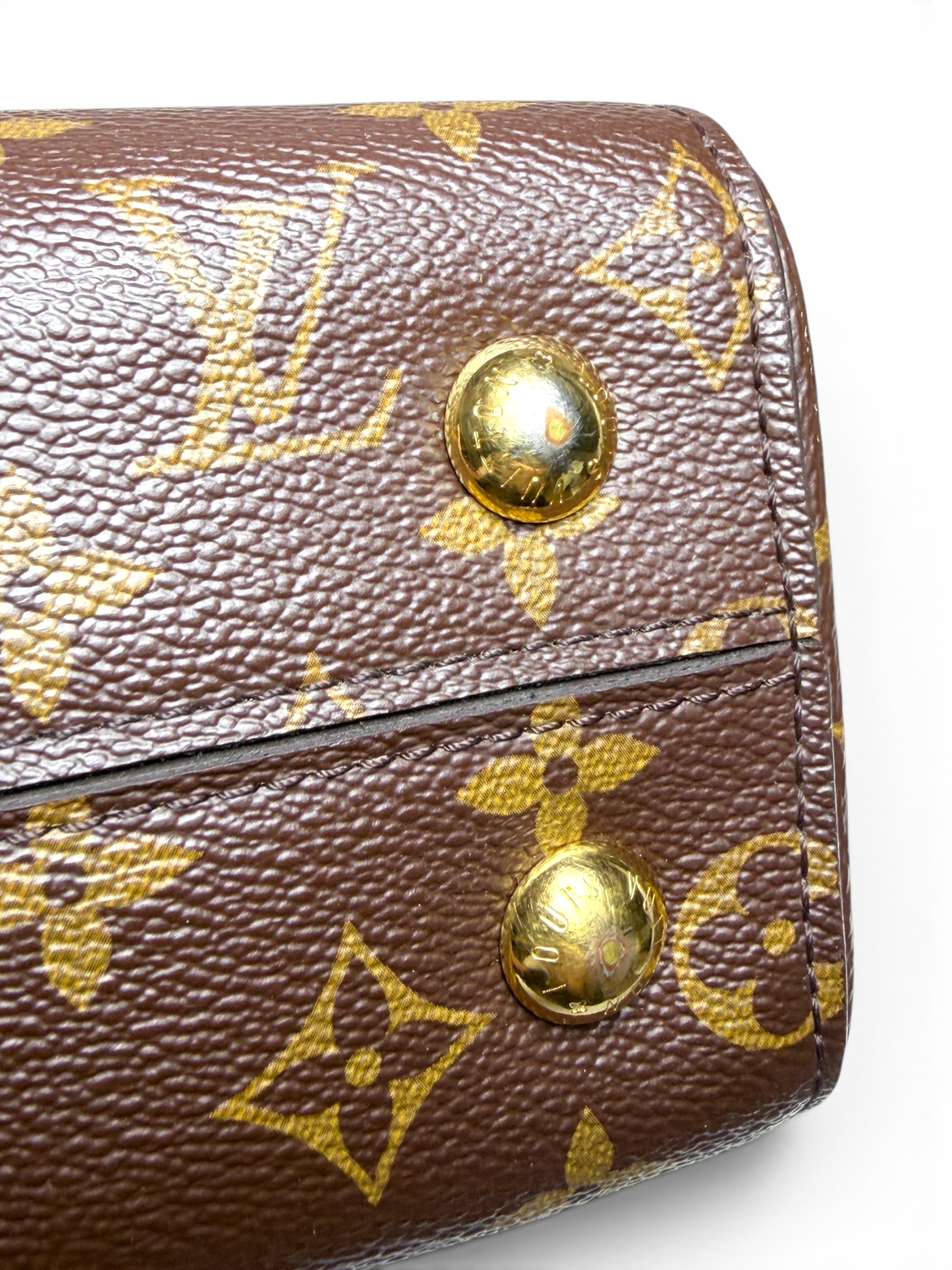 Bolso Louis Vuitton Cluny BB