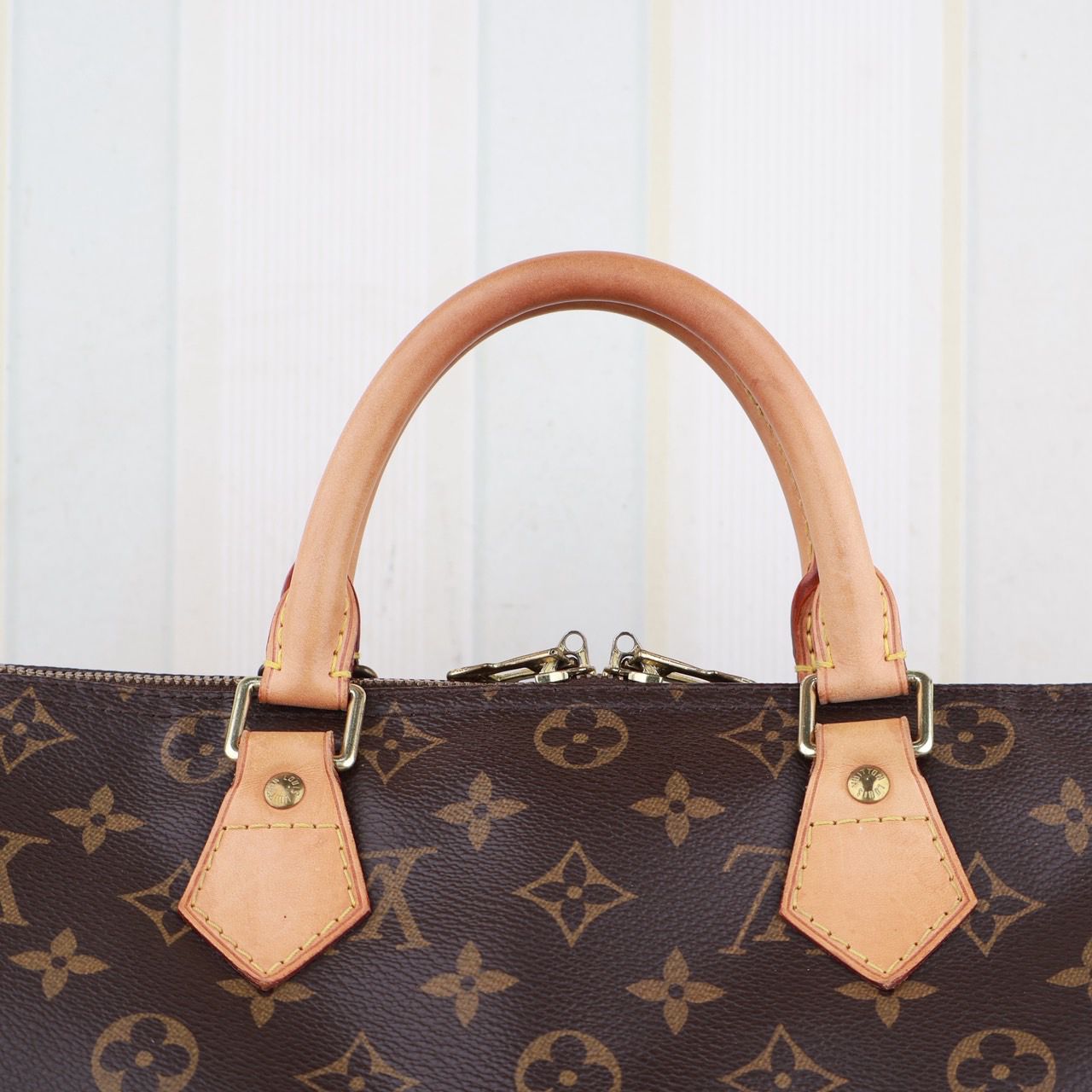 Louis Vuitton Speedy 30 Bag