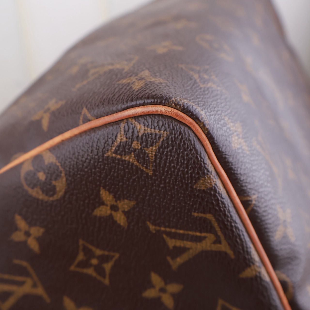 Bolso Louis Vuitton Speedy 30