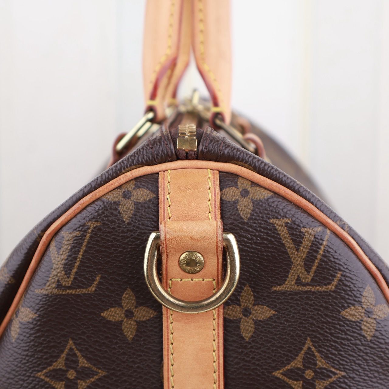 Louis Vuitton Speedy 30 Bag