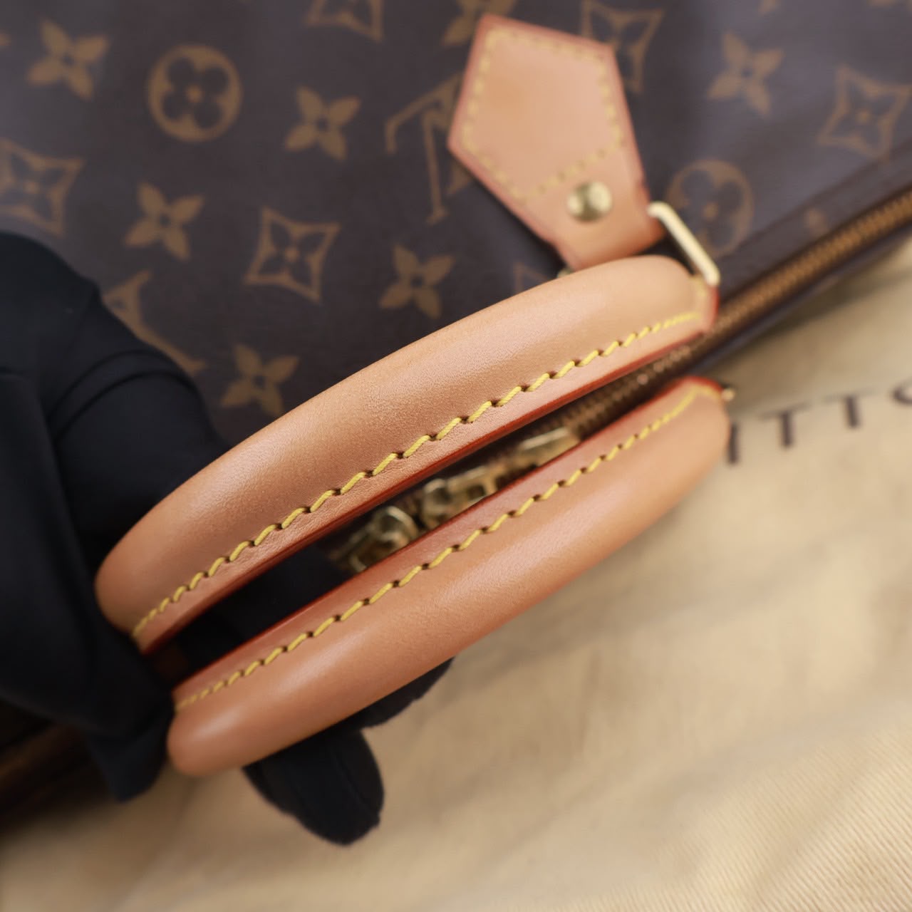 Bolso Louis Vuitton Speedy 30