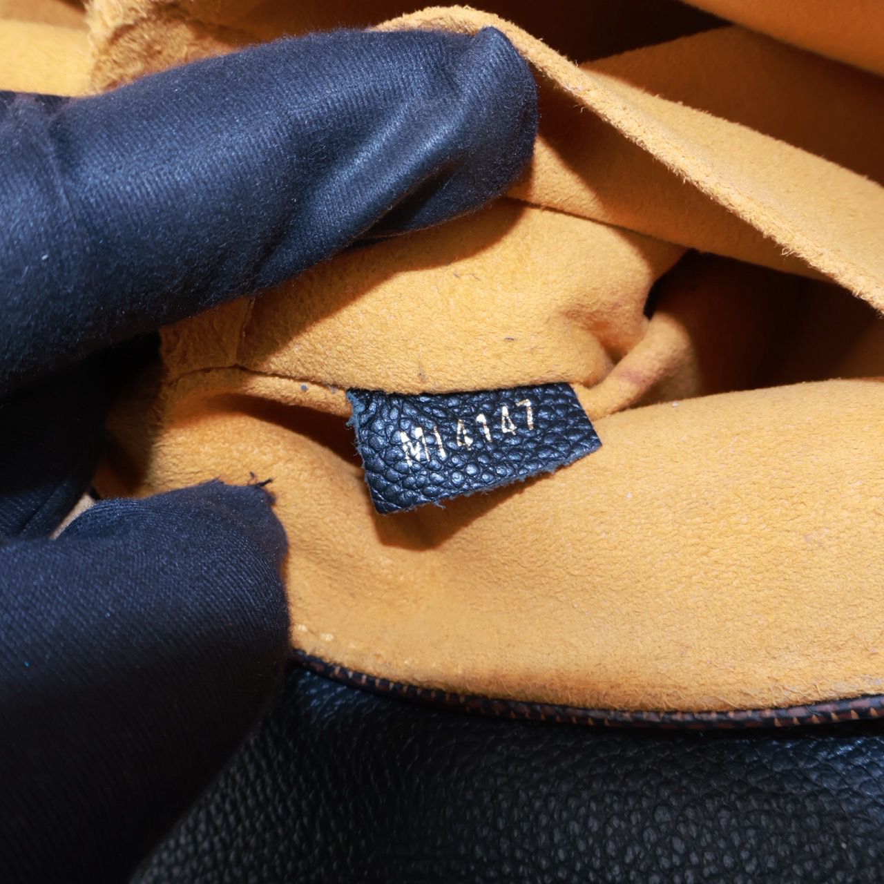 Louis Vuitton Claptone Bag