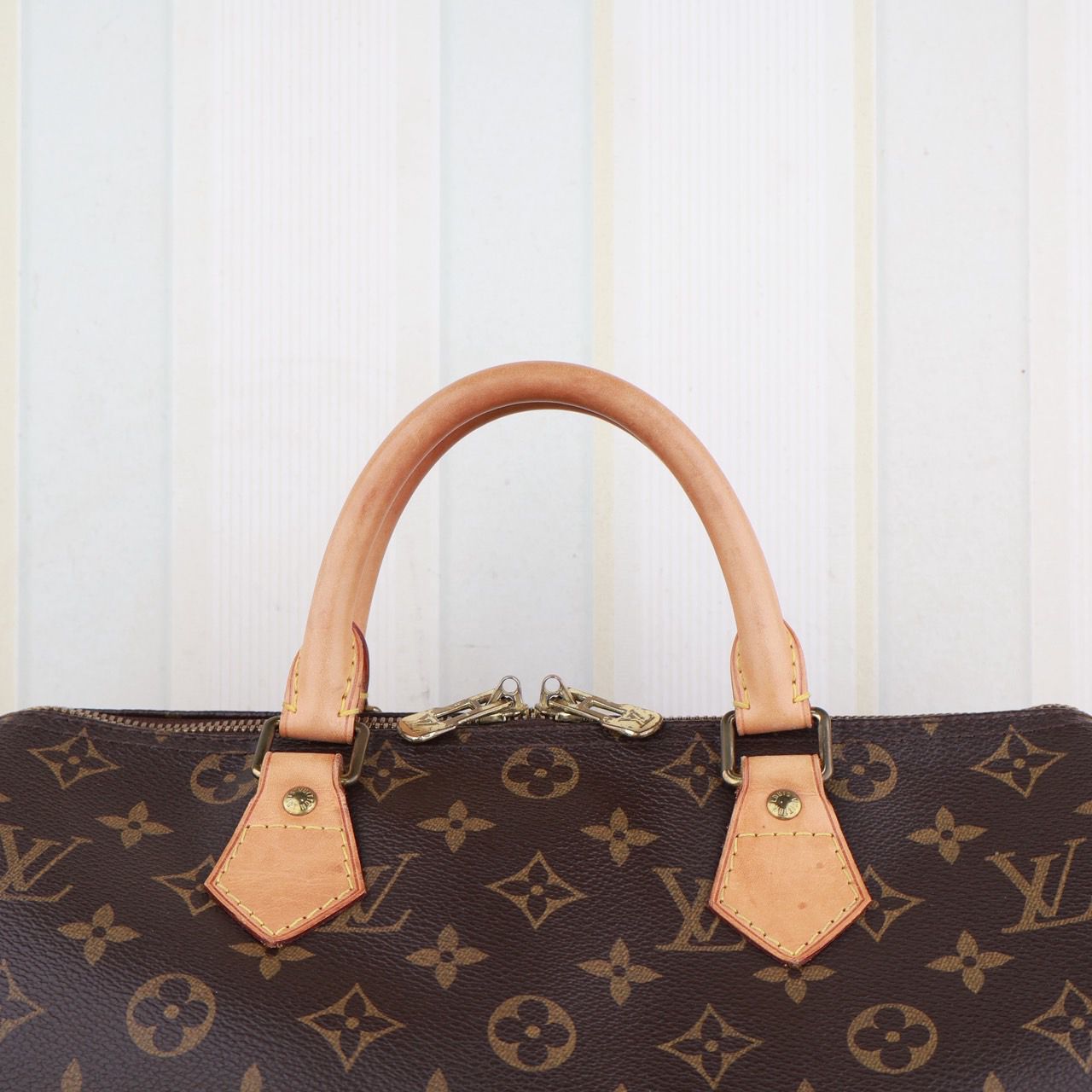 Louis Vuitton Speedy 30 Bag