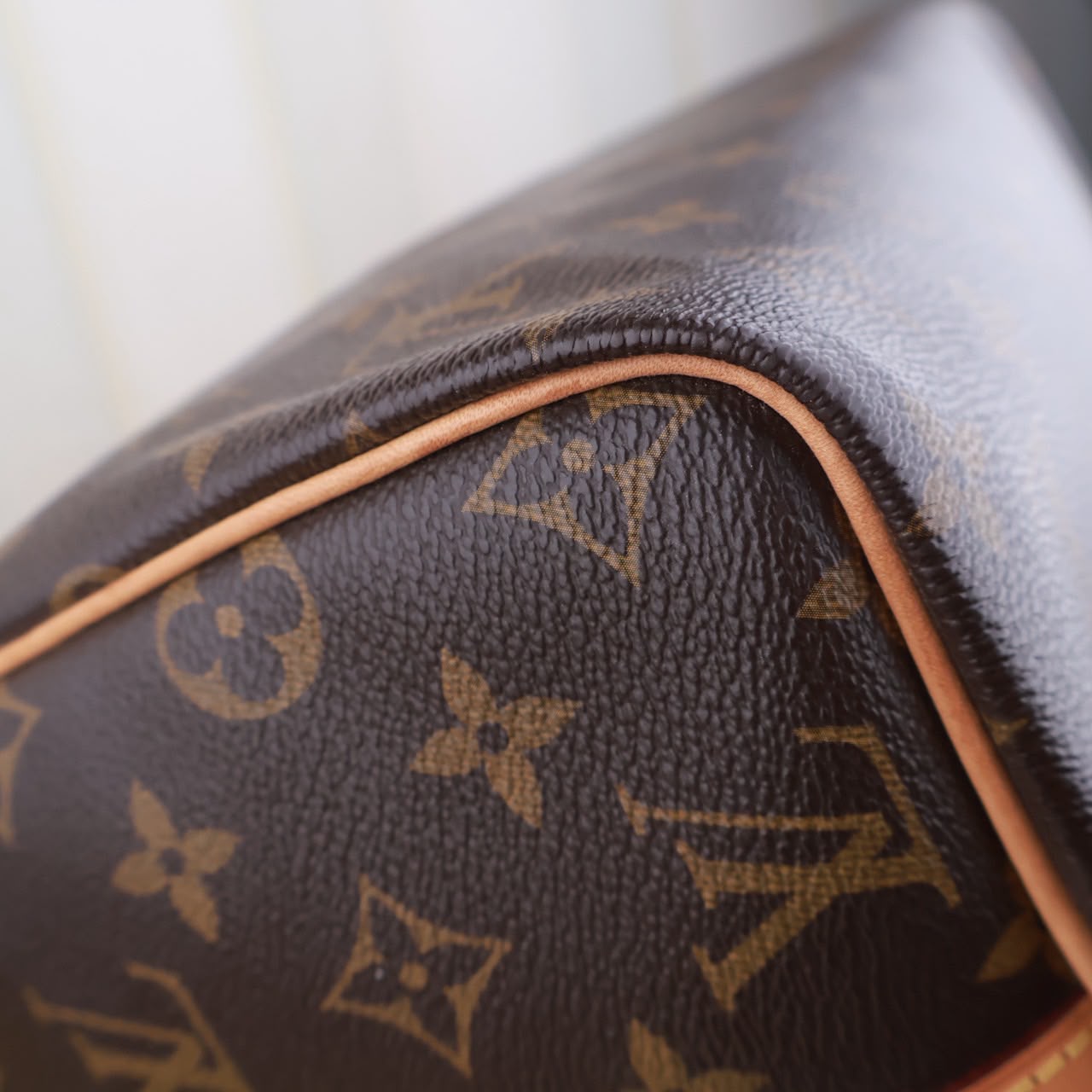 Bolso Louis Vuitton Speedy 30