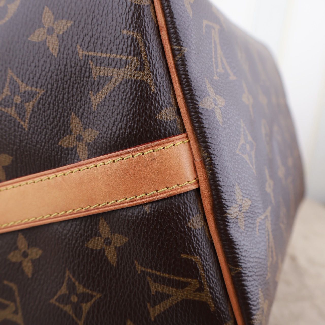 Louis Vuitton Speedy 30 Bag