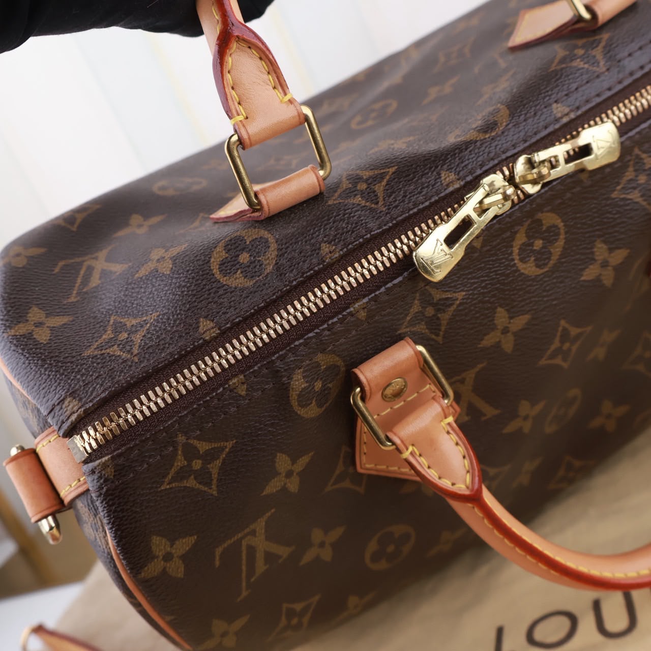 Bolso Louis Vuitton Speedy 30