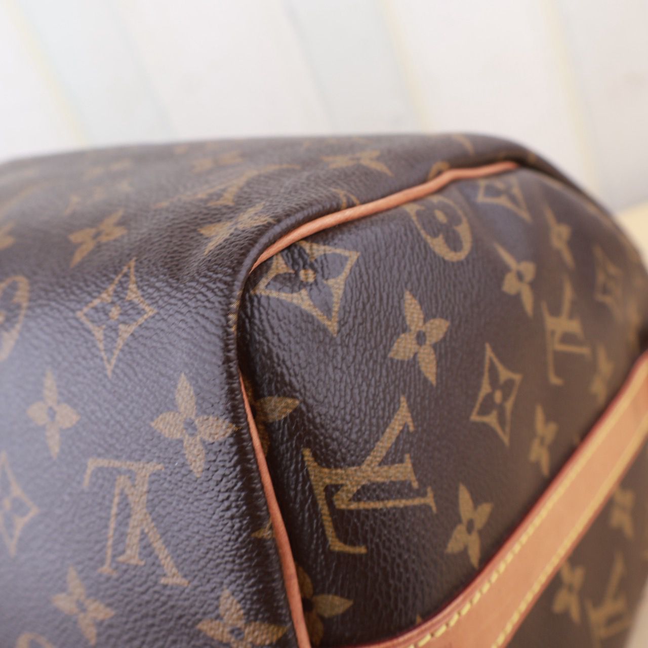 Bolso Louis Vuitton Speedy 30