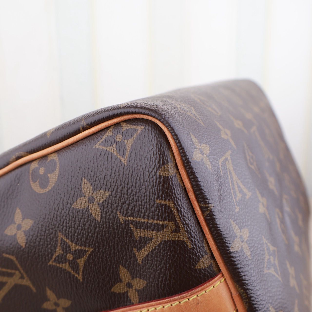 Louis Vuitton Speedy 30 Bag