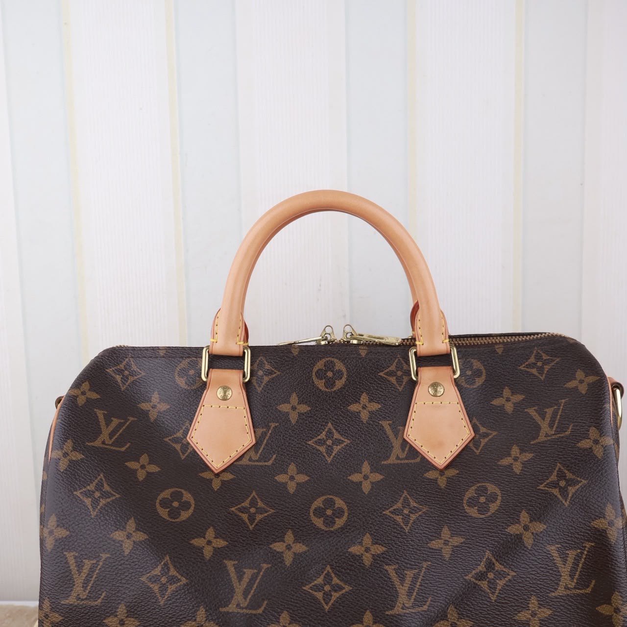 Bolso Louis Vuitton Speedy 30
