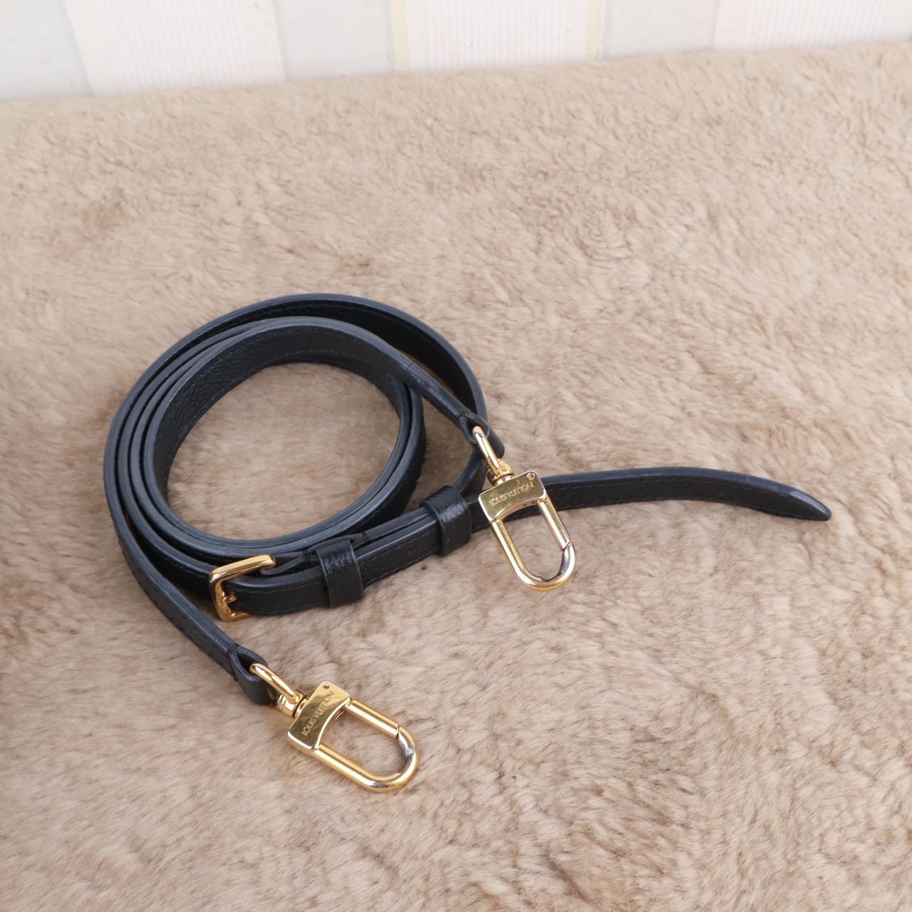 Louis Vuitton Claptone Bag