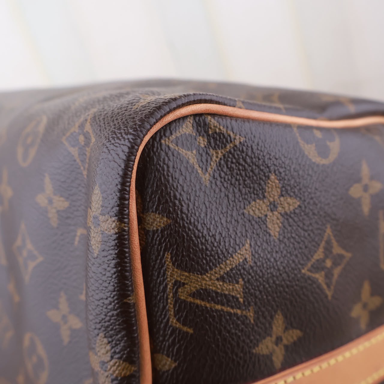 Bolso Louis Vuitton Speedy 30