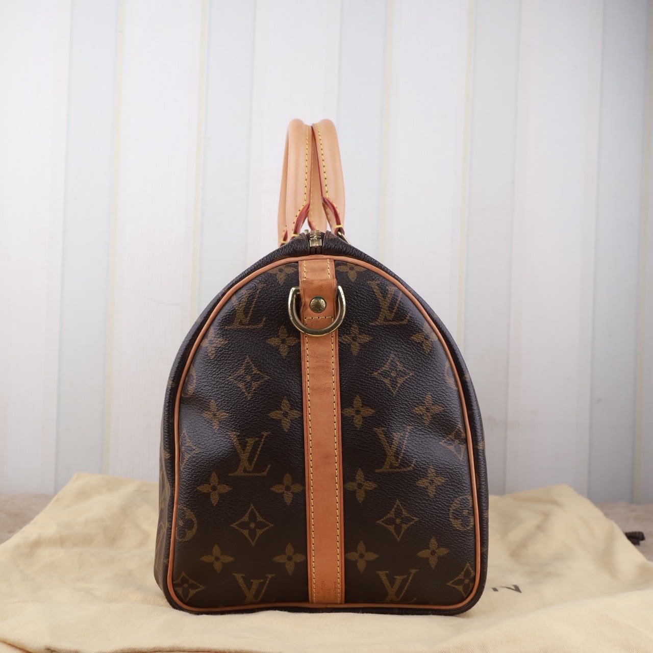Bolso Louis Vuitton Speedy 30